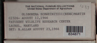 Image Associated With the Occurence